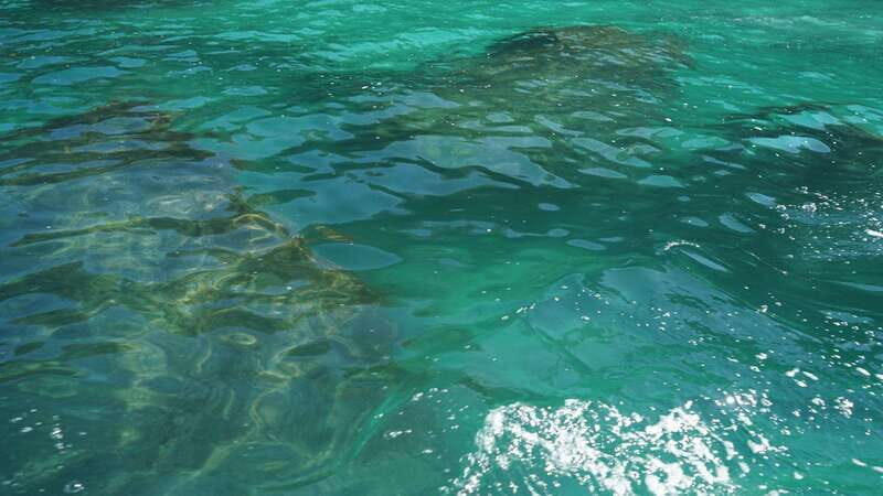 Mazatlan 3 Islands Snorkeling and Bird Watching Tour - The Sum Up