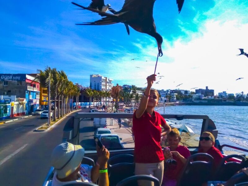 Mazatlán: Double-Decker Bus, Cliff Diving & Walking Tour - Value and Practical Considerations