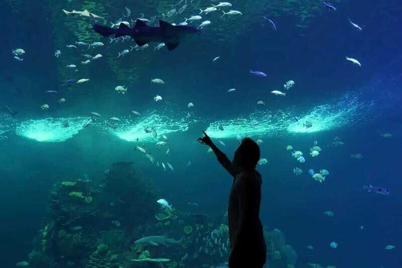 Mazatlan: Grand Aquarium Ticket and City Sightseeing Tour - Key Points