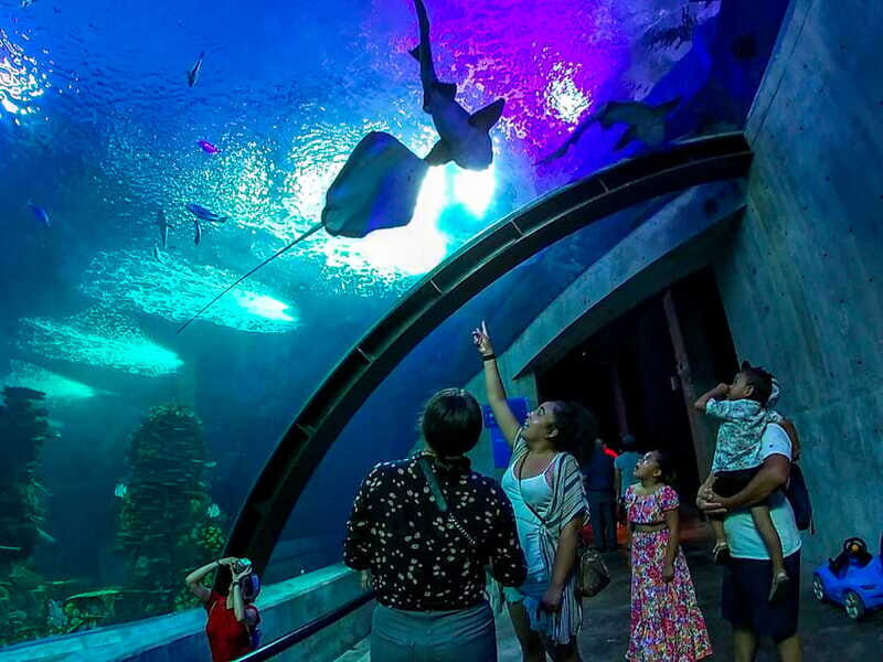 Mazatlan: Grand Aquarium Ticket and City Sightseeing Tour - FAQ