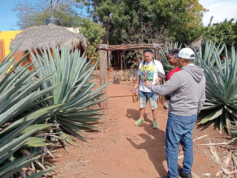 Mazatlan: Mezcal Factory Tour with Tasting and Lunch - Authenticity and Overall Value