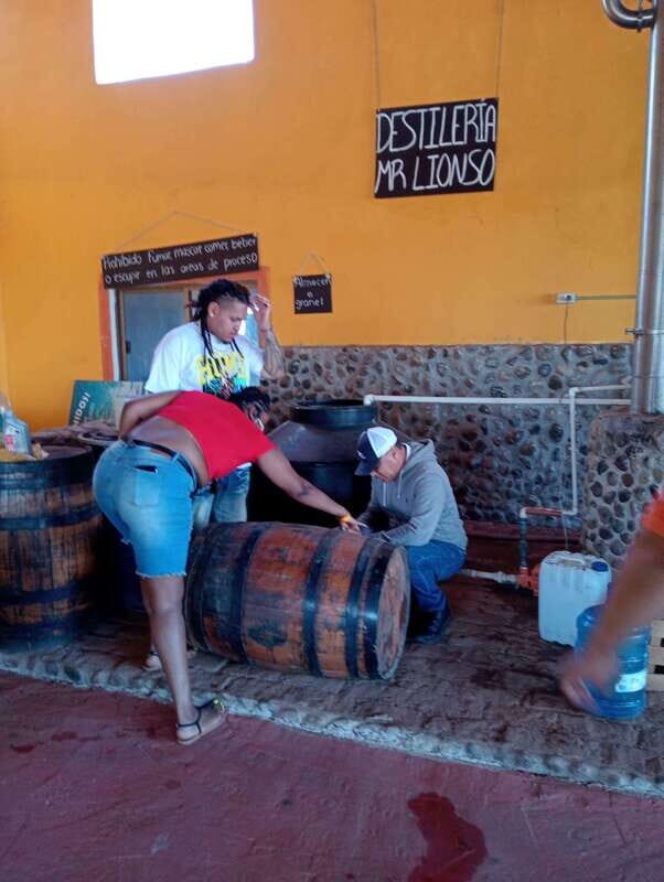 Mazatlan: Mezcal Factory Tour with Tasting and Lunch - Final Thoughts: Who Is This Tour Perfect For?