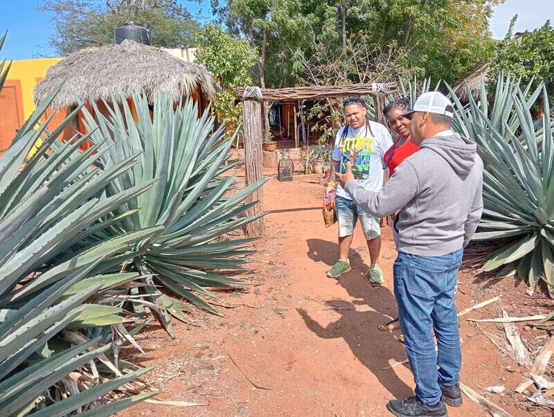 Mazatlan: Mezcal Factory Tour with Tasting and Lunch - Frequently Asked Questions