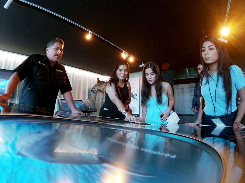 Mazatlán: MUNBA Interactive Ocean Museum Entry Ticket - Key Points