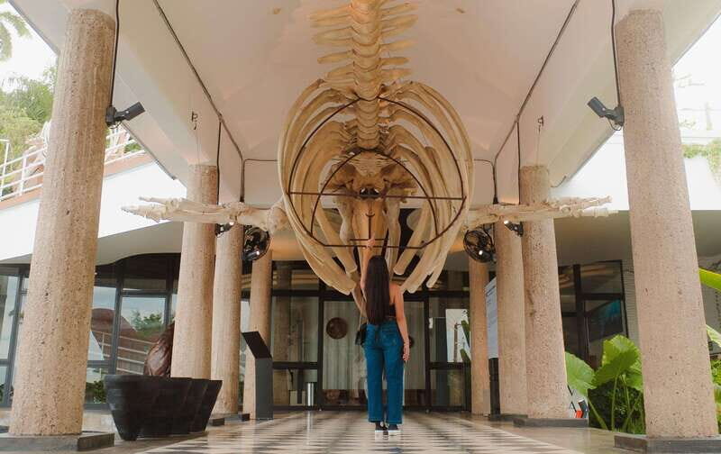 Mazatlán: MUNBA Interactive Ocean Museum Entry Ticket - The Experience: What to Expect at MUNBA in Mazatlán