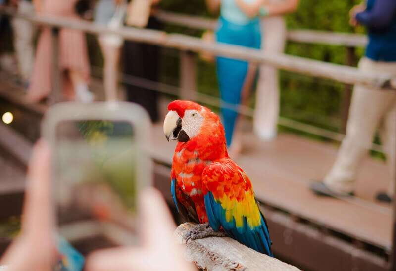 Mazatlán: Observatorio 1873 Cultural & Nature Experience - Final Thoughts