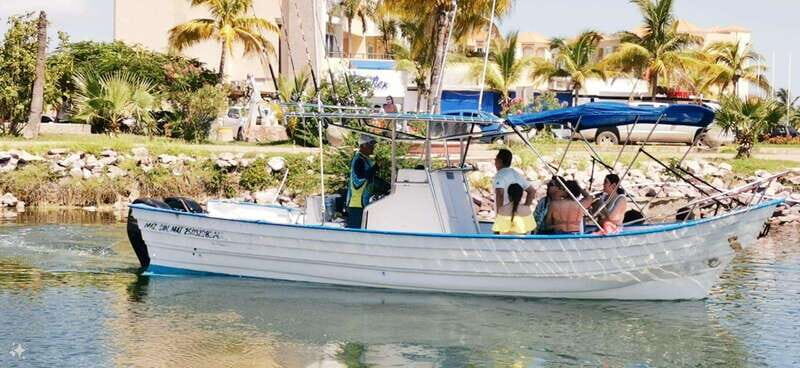 Mazatlan: Sea lions and snorkeling - The Experience: What Travelers Are Saying