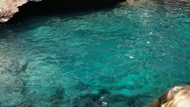 Mazatlan: Sea lions and snorkeling - Who Would Enjoy This Tour?
