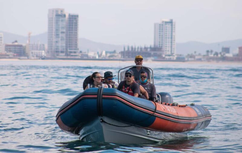 Mazatlán: Whale-Watching Boat Tour with Marine Experts - The Experience: What You Can Expect