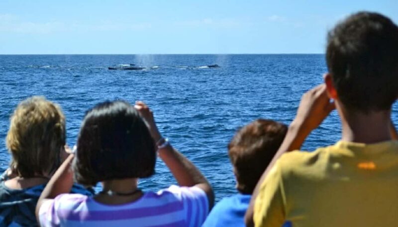 Mazatlán: Whale-Watching Boat Tour with Marine Experts - The Guides: Passionate Naturalists and Data Collectors