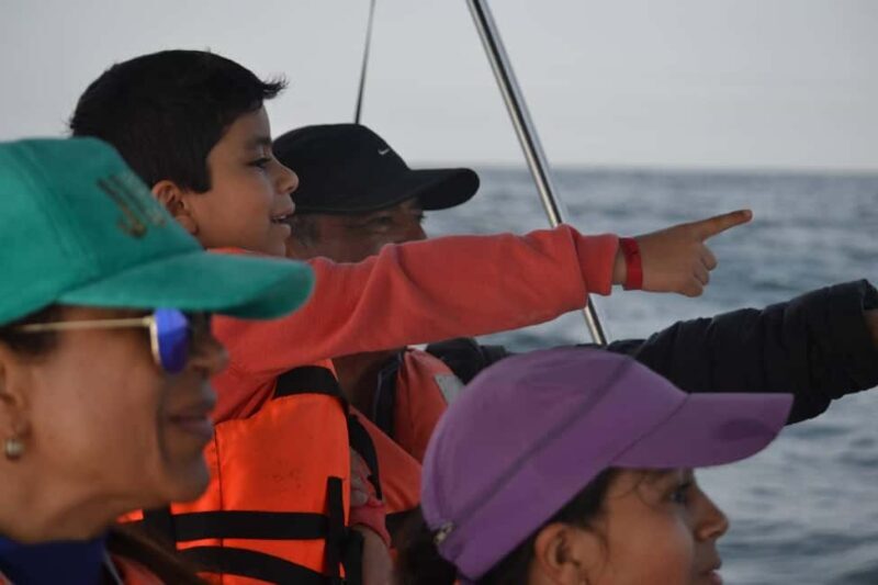 Mazatlán: Whale-Watching Boat Tour with Marine Experts - Practical Tips for Your Trip