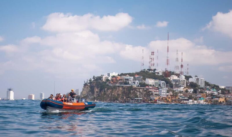 Mazatlán: Whale-Watching Boat Tour with Marine Experts - The Sum Up