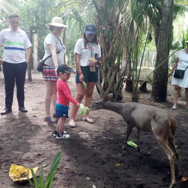 Mazunte-Ventanilla and Zipolite Ecotour - Key Points