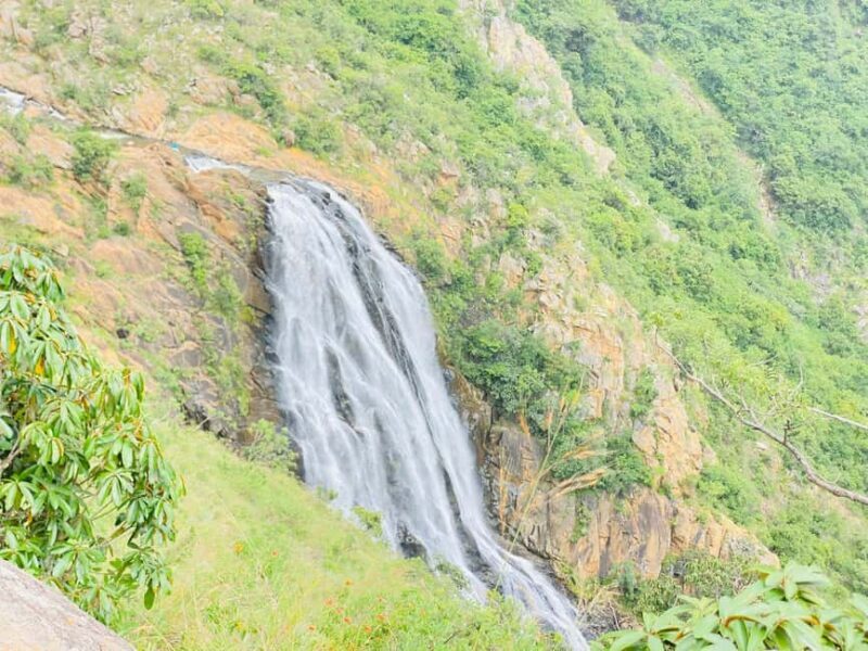Mbabane: Malolotja Nature Reserve Hiking Tour - A Detailed Look at the Malolotja Nature Reserve Hike