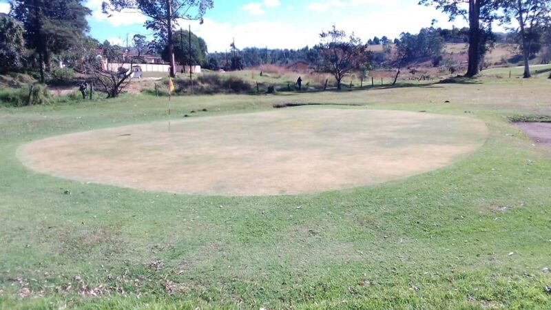 Mbabane: Traditional Swazi Food Tasting Tour - The Cultural Significance of Swazi Food