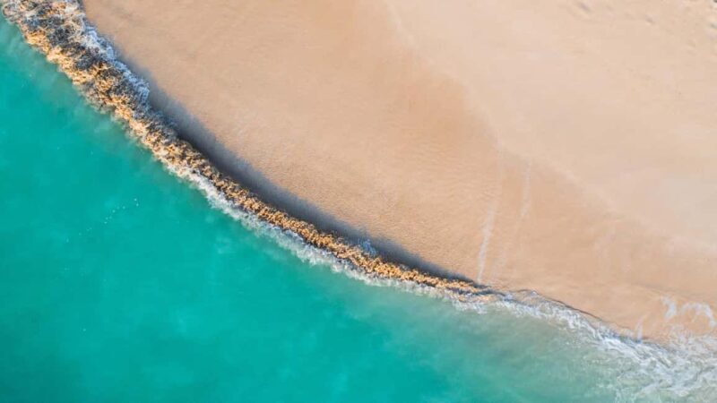 Mbudya Island: Private Tour Day Trip from Dar es salaam - Mbudya Island: Private Tour Day Trip from Dar es Salaam