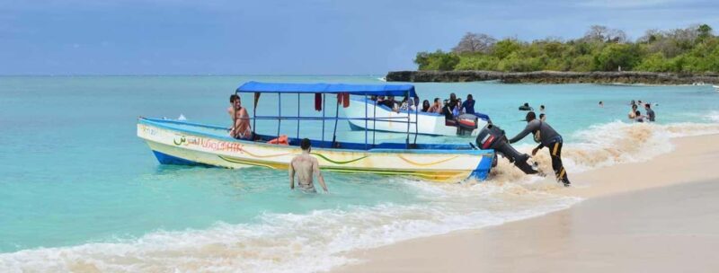 Mbudya Island: Private Tour Day Trip from Dar es salaam - The Practical Details