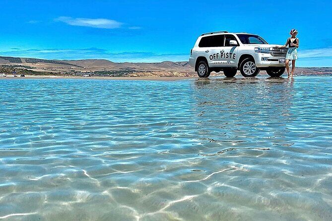 McLaren Vale 4x4 Premium Food and Wine Tour with Private Lunch - Practical Details and Tips