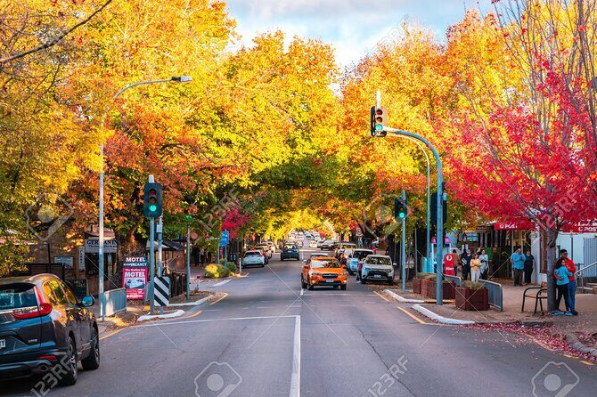 McLaren Vale and Hahndorf Tour (Lunch & Tastings included) - Key Points
