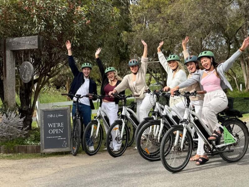 McLaren Vale: E-Bike Rental to Explore the Vineyards - Key Points