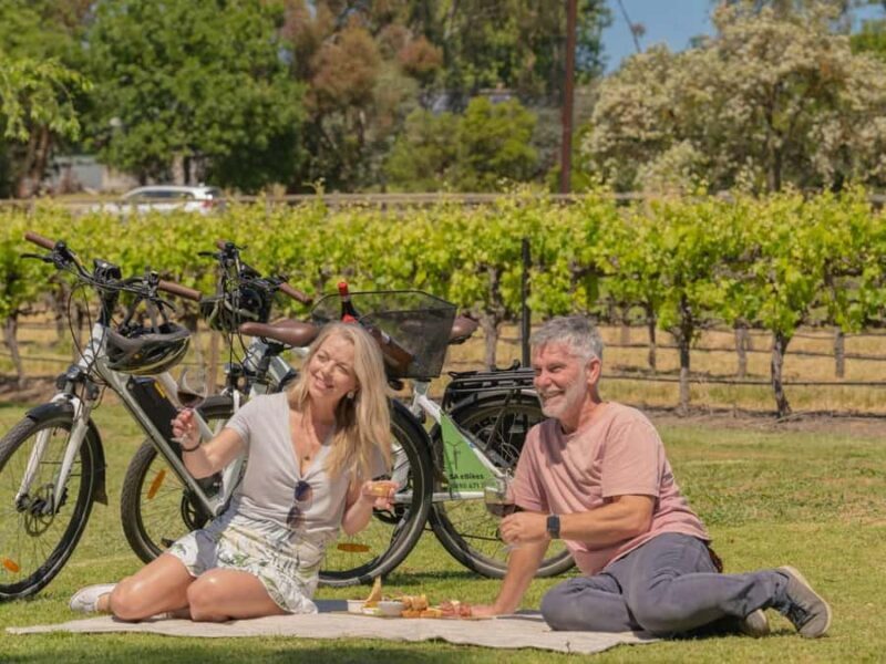 McLaren Vale: E-Bike Rental to Explore the Vineyards - The Real Value and What Travelers Say