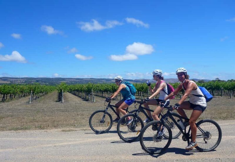 Mclaren Vale Hills Vines and Wines Bike Tour from Adelaide - The Journey Begins: Forest Ride & Wildlife Encounters
