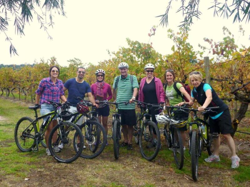 Mclaren Vale Hills Vines and Wines Bike Tour from Adelaide - Tasting Your Way Through McLaren Vale’s Vineyards