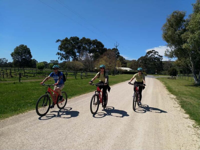 Mclaren Vale Hills Vines and Wines Bike Tour from Adelaide - A Delicious, Customizable Lunch