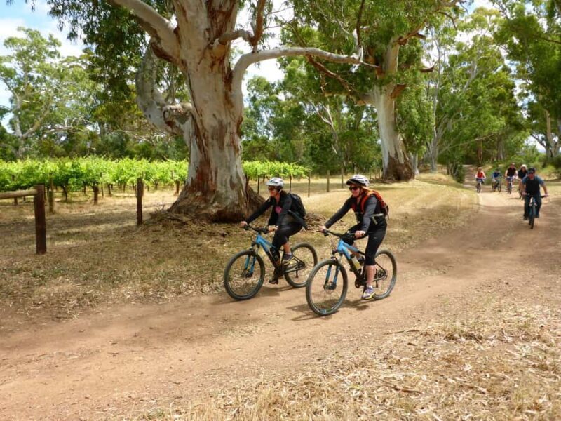 Mclaren Vale Hills Vines and Wines Bike Tour from Adelaide - Afternoon Options: Flexible, Fun, and Personal