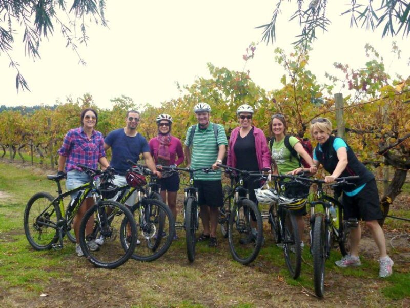 Mclaren Vale Hills Vines and Wines Bike Tour from Adelaide - Returning to Adelaide: Comfort and Convenience