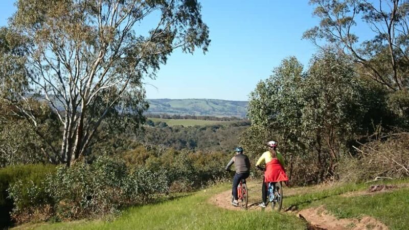 Mclaren Vale Hills Vines and Wines Bike Tour from Adelaide - Who Should Consider This Tour?