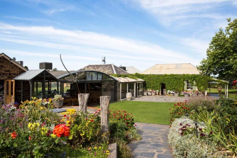 McLaren Vale North: Hop-On Hop-Off Tour - Who Should Book This Tour?