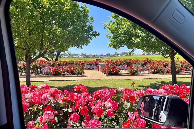McLaren Vale Private Tour inc Premium Lunch & d'Arenberg Cube - What Travelers Say