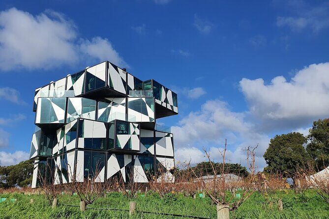 McLaren Vale Private Wine Tour - A Complete Look at the McLaren Vale Private Wine Tour Experience