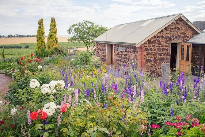 McLaren Vale Private Wine Tour - Who Should Consider This Tour?