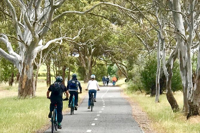 McLaren Vale Shiraz Trail Cycling Tour from Adelaide - Who Will Love This Tour
