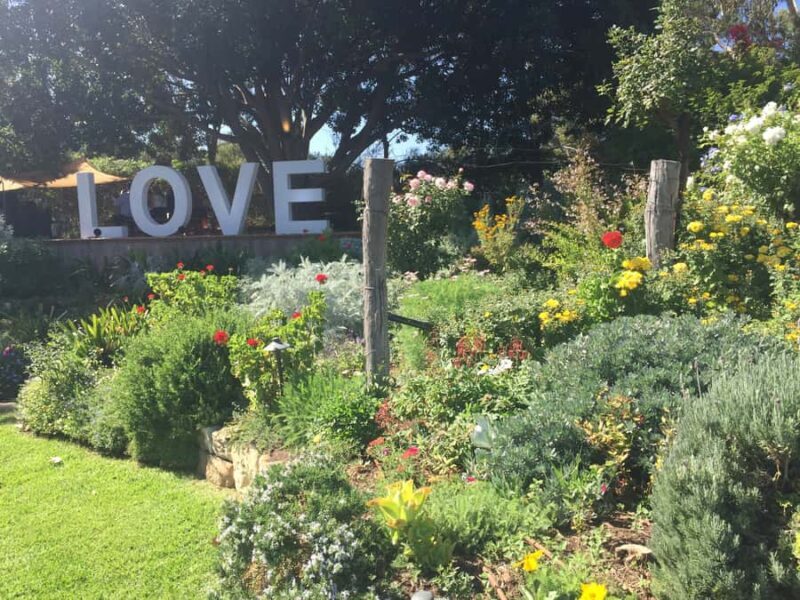 McLaren Vale: Small Group Wine Tour (Includes Lunch) - In The Sum Up: Who Is This Tour Perfect For?