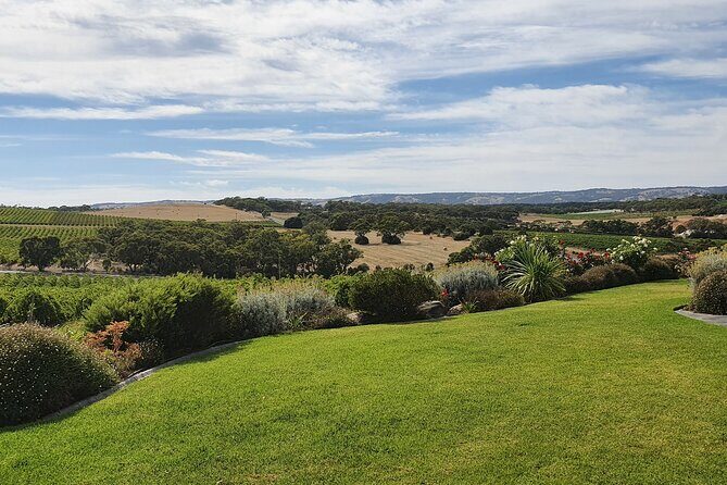 McLaren Vale Small Shared Tour with Wine Tasting and Lunch - Authentic Experiences and Authentic Feedback