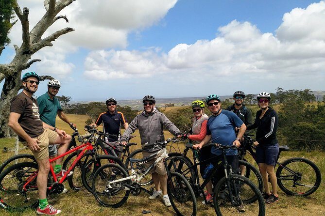 McLaren Vale Wine Tour by Bike - An In-Depth Look at the McLaren Vale Bike Wine Tour