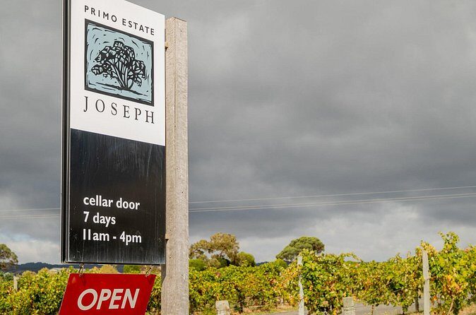 McLaren Vale Wine Tour: Tastings, Lunch, and Scenic Views - Who Will Love This Tour?