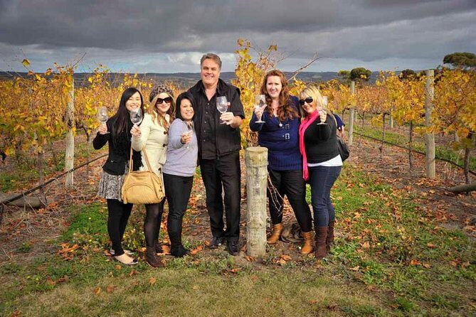 McLaren Vale Winery Small Group Tour with Wine Tasting and Lunch - A Deep Dive into the McLaren Vale Experience