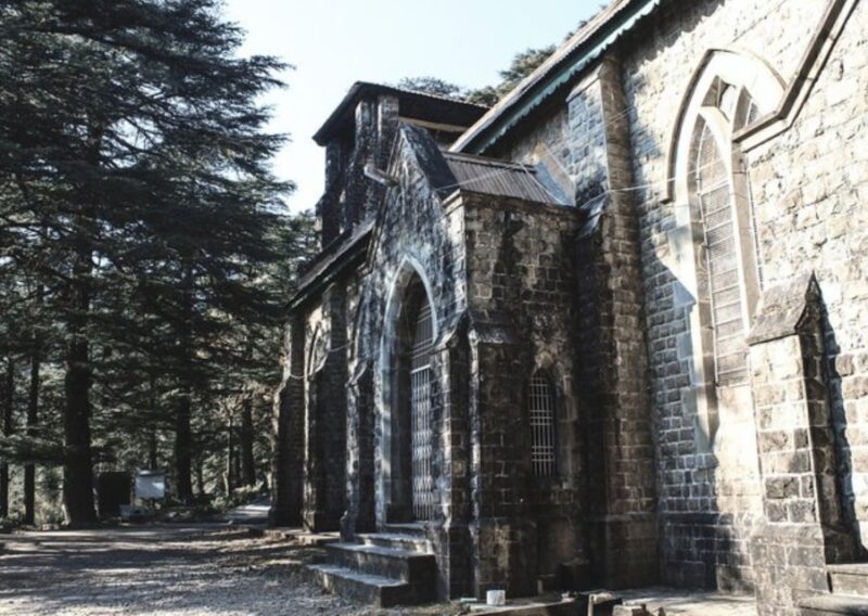 Mcleodganj Nature Trek (3 Hours Guided Walking Tour) - A Deep Dive into the Mcleodganj Nature Trek Experience