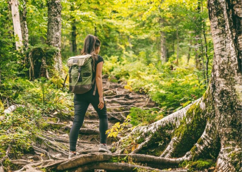 Mcleodganj Nature Trek (3 Hours Guided Walking Tour) - Final Thoughts