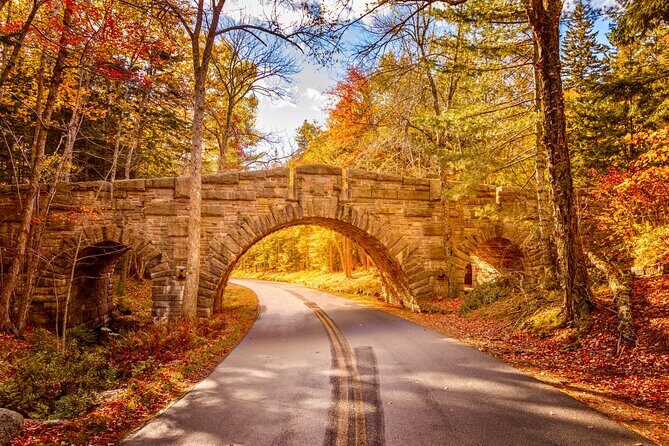 MDI Private Discovery Tour - Explore Beyond Acadia (five hours) - Unlocking the Hidden Gems of Mount Desert Island: A Deep Dive into the MDI Private Discovery Tour