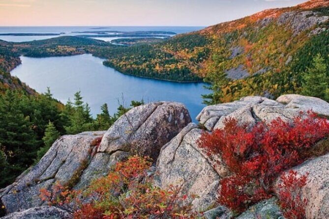 MDI Private Discovery Tour - Explore Beyond Acadia (five hours) - Key Points