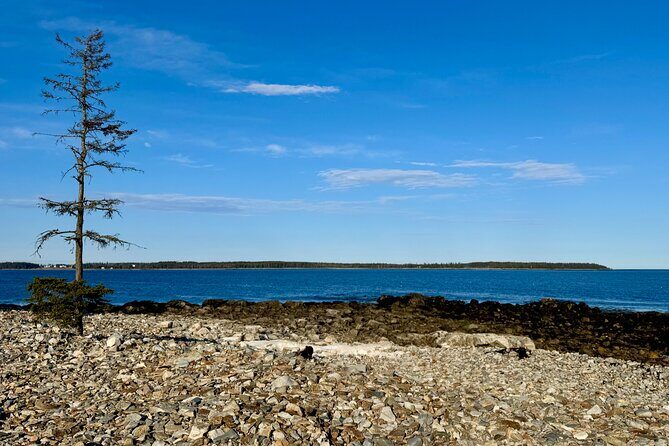 MDI Private Discovery Tour - Explore Beyond Acadia (five hours) - Frequently Asked Questions