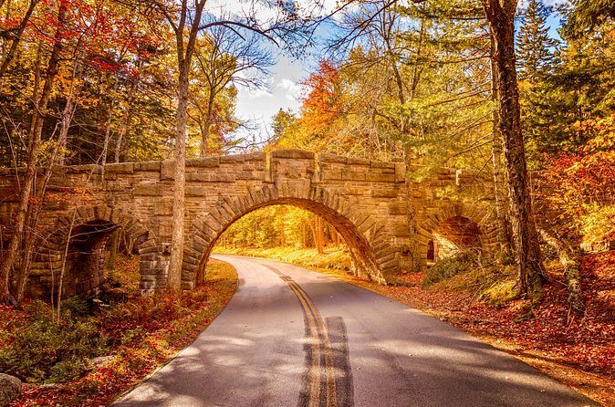 MDI Private Discovery Tour - Explore Beyond Acadia (five hours) - Final Words