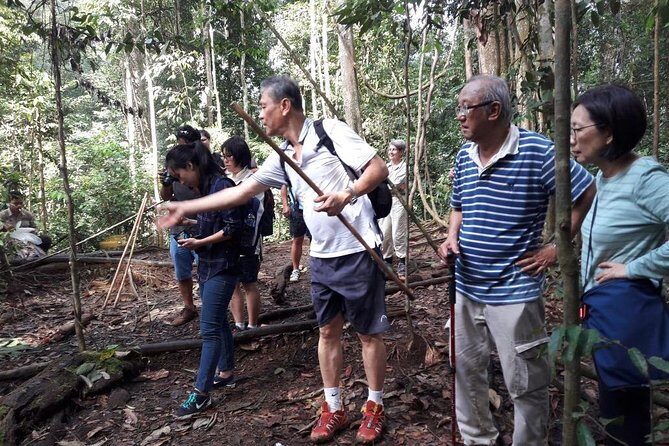 Medan - Bukit Lawang Fullday Tour - What to Expect from This Full-Day Nature Escape
