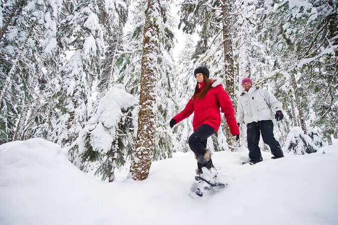 Medicine Trail Snowshoe Tour - An In-Depth Look at the Medicine Trail Snowshoe Tour