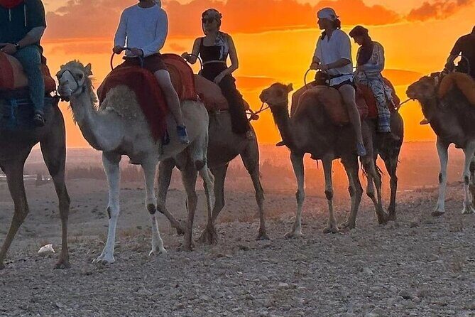 MEDINA of ESSAOUIRa - FAQ